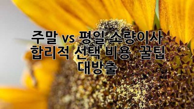 주말 vs 평일 소량이사 🚚 합리적 선택? 비용 & 꿀팁 대방출! 💰