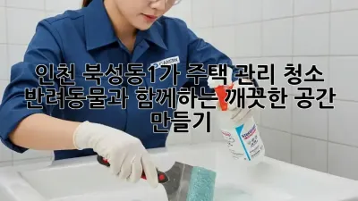 인천 북성동1가 주택 관리 청소: 반려동물과 함께하는 깨끗한 공간 만들기