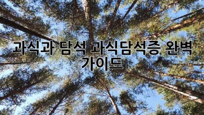 과식과 담석: 과식담석증 완벽 가이드