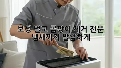 보성 벌교 곰팡이 제거 전문: 냄새까지 말끔하게!